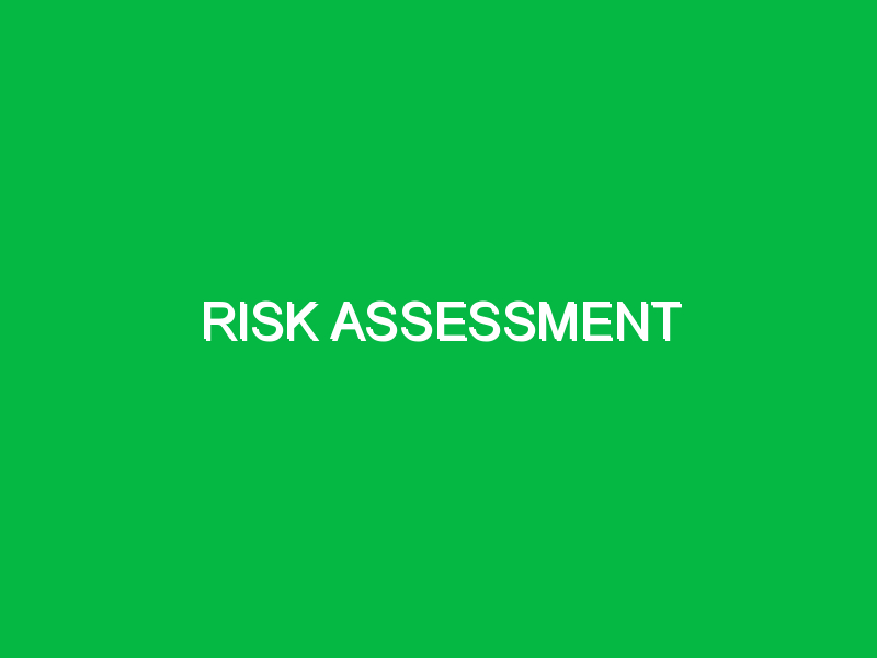 risk assessment 2 7363