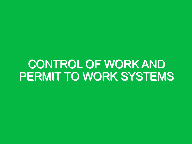 control of work and permit to work systems 9494