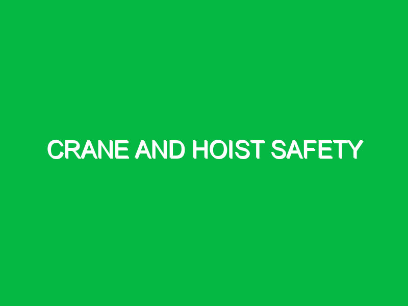 crane and hoist safety 9834