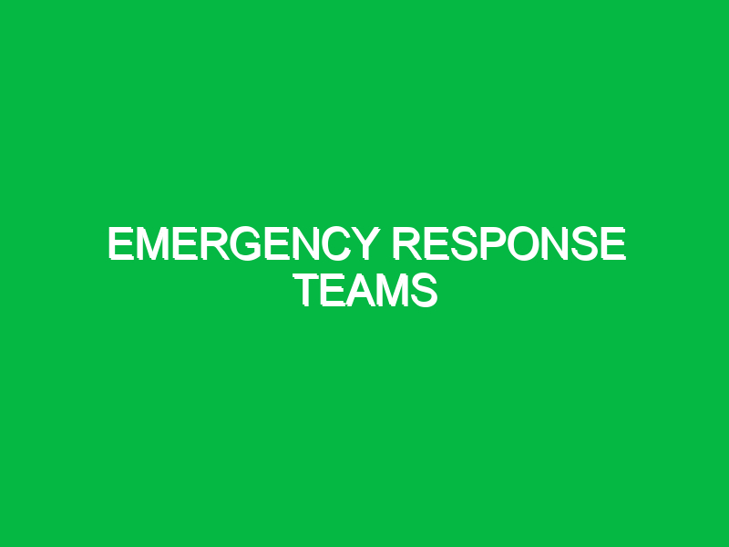 emergency response teams 9858