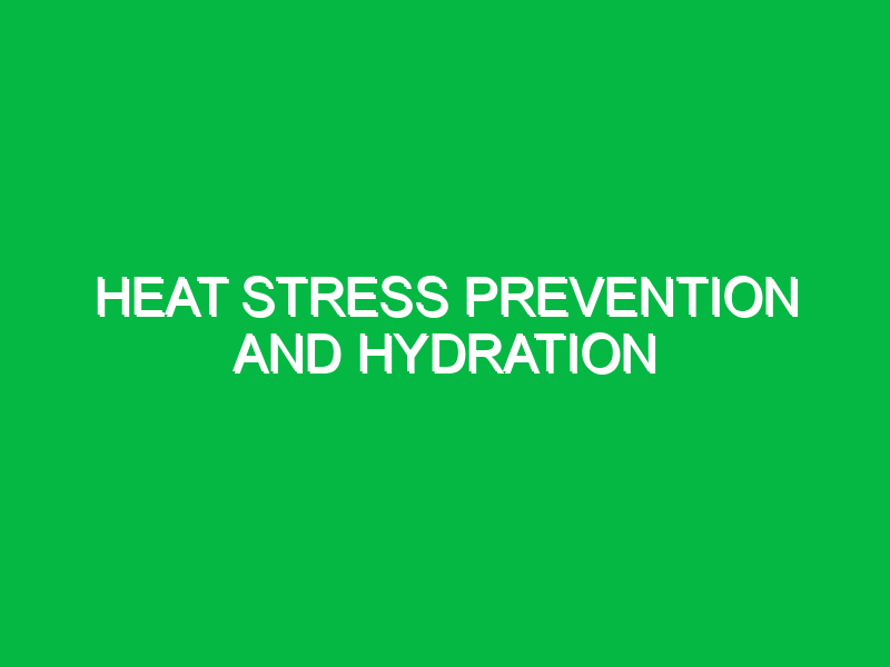 heat stress prevention and hydration 9656