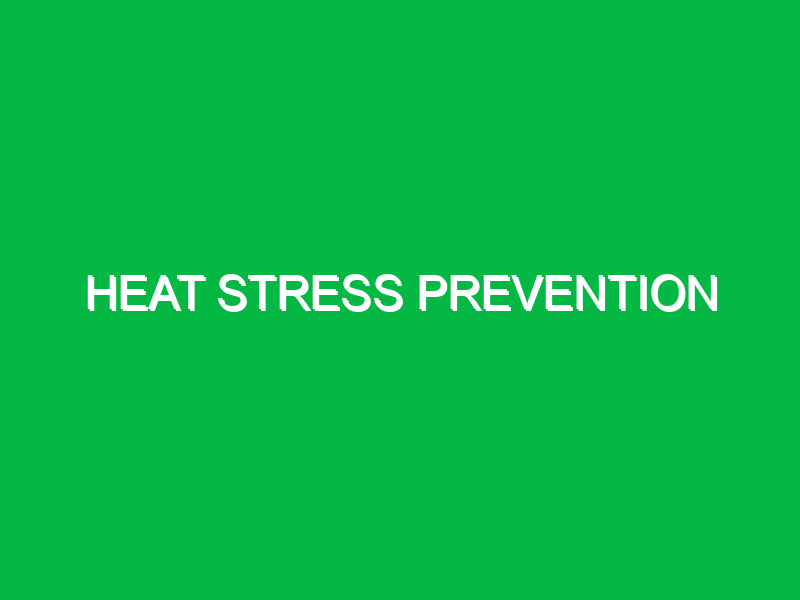 heat stress prevention 9878