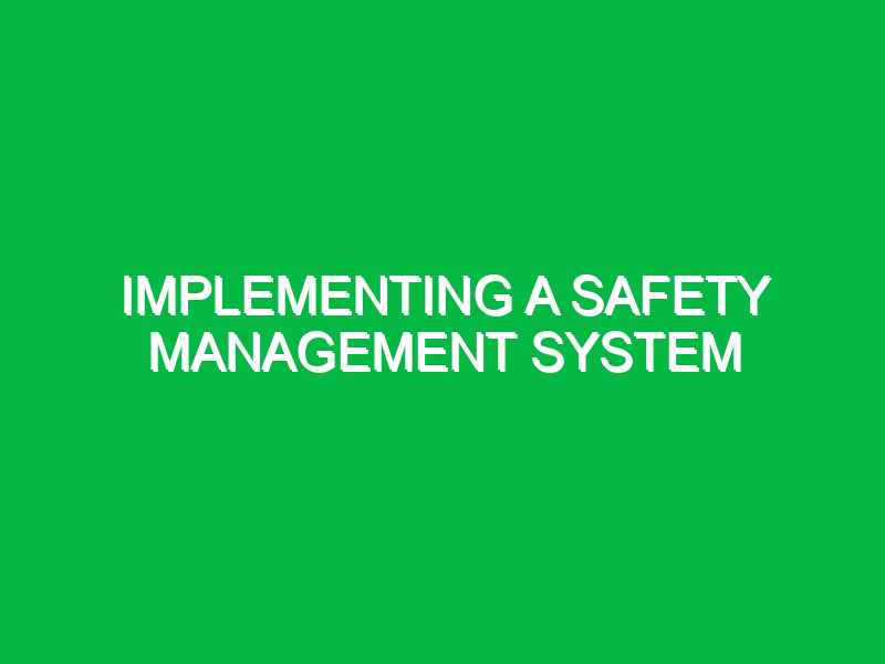 implementing a safety management system 10096