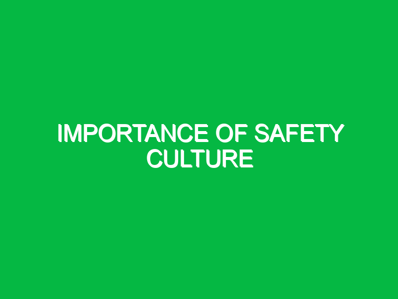 importance of safety culture 9927