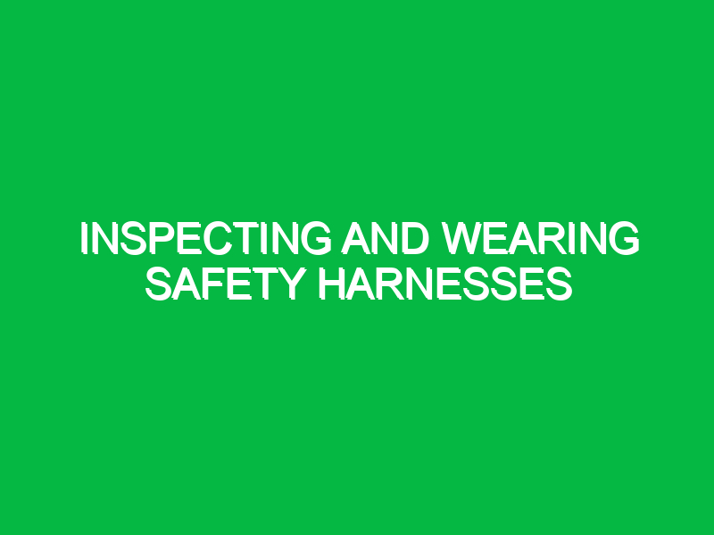 inspecting and wearing safety harnesses 9550