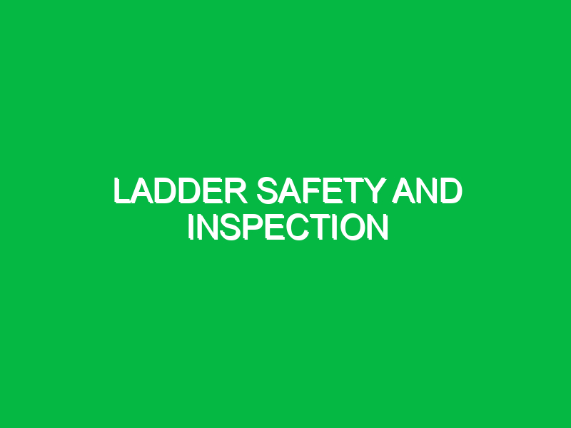 ladder safety and inspection 9741