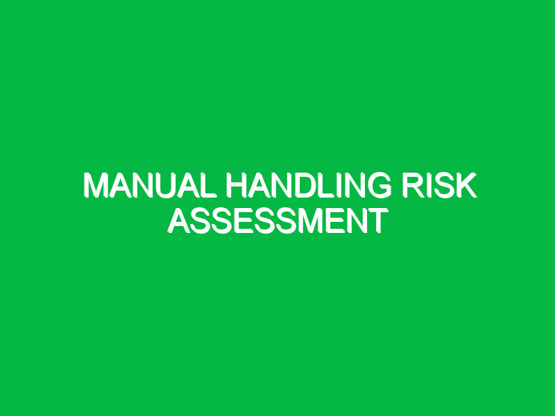 manual handling risk assessment 9913