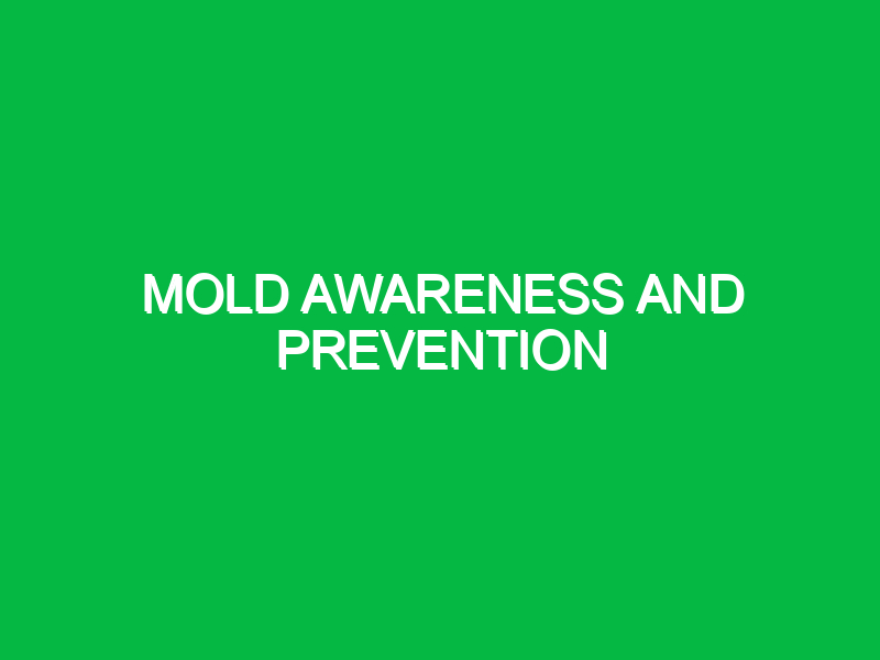 mold awareness and prevention 9895