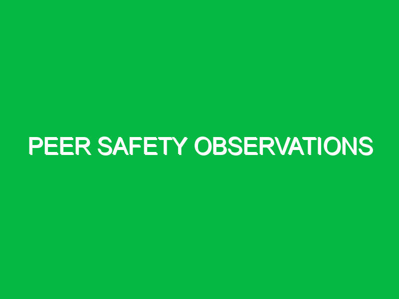 peer safety observations 9933