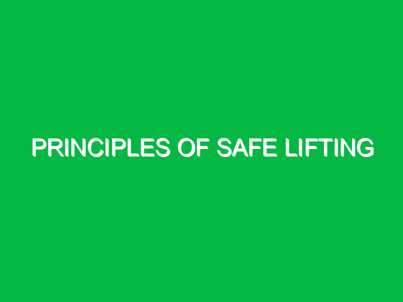 principles of safe lifting 9900