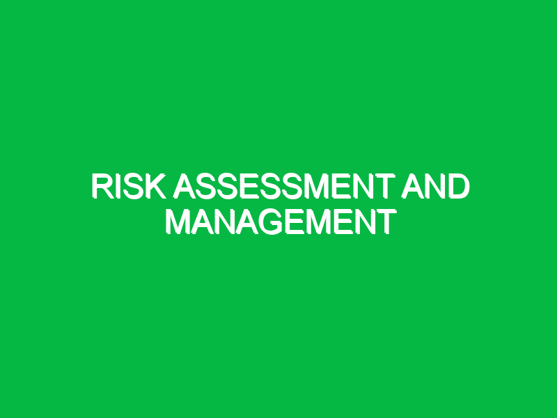 risk assessment and management 10091