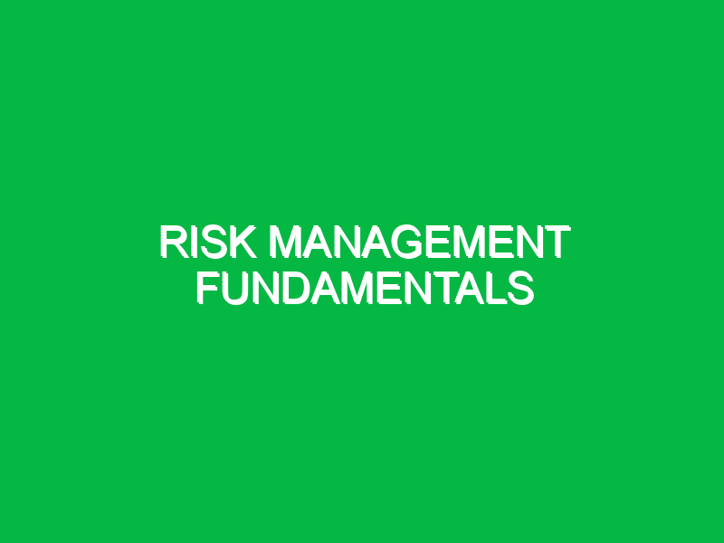 risk management fundamentals 10100