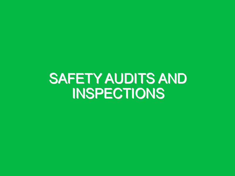 safety audits and inspections 10098