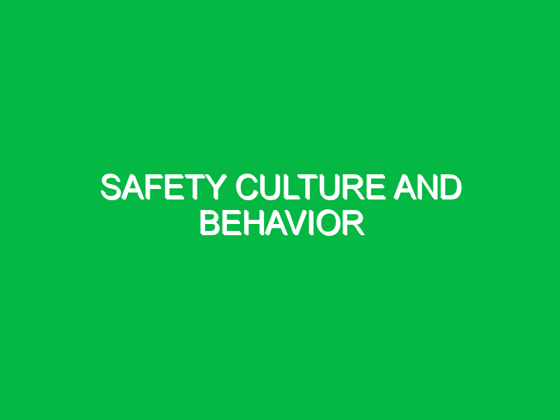 safety culture and behavior 9691