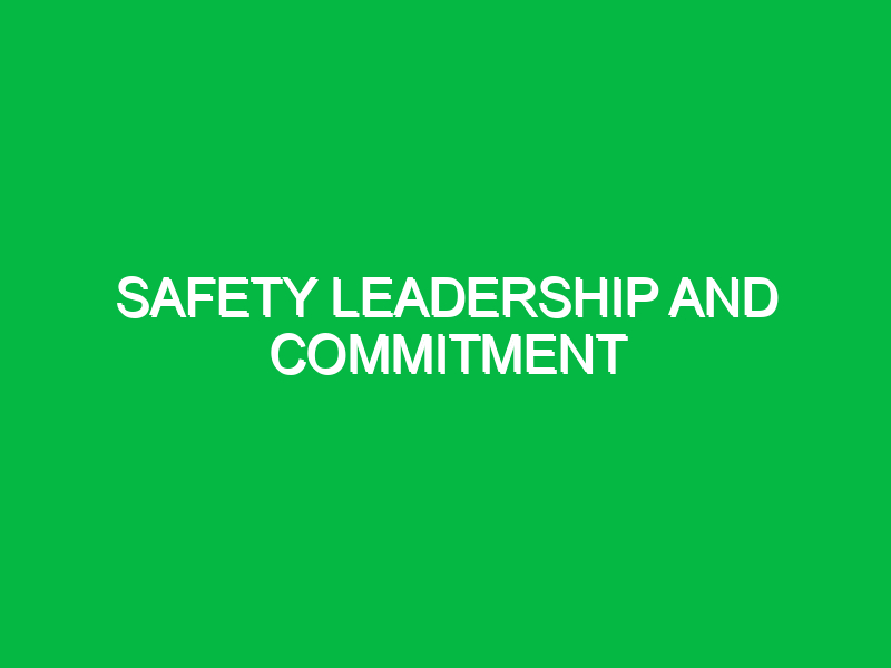 safety leadership and commitment 9698