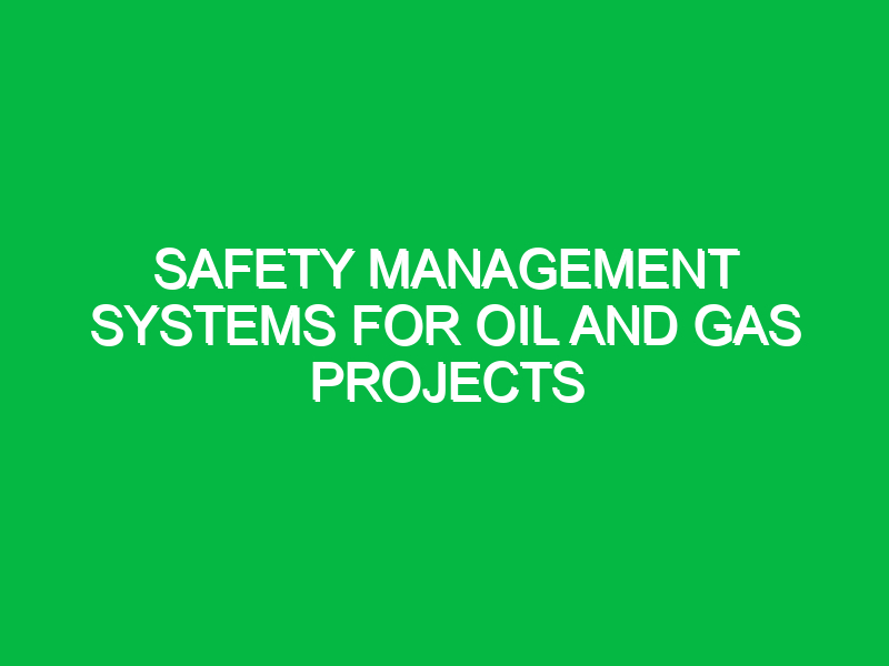 safety management systems for oil and gas projects 9438