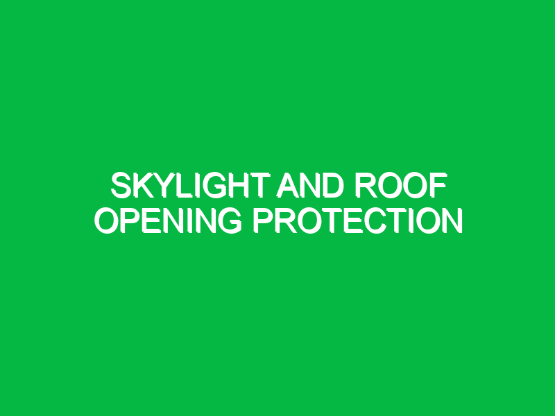 skylight and roof opening protection 10054