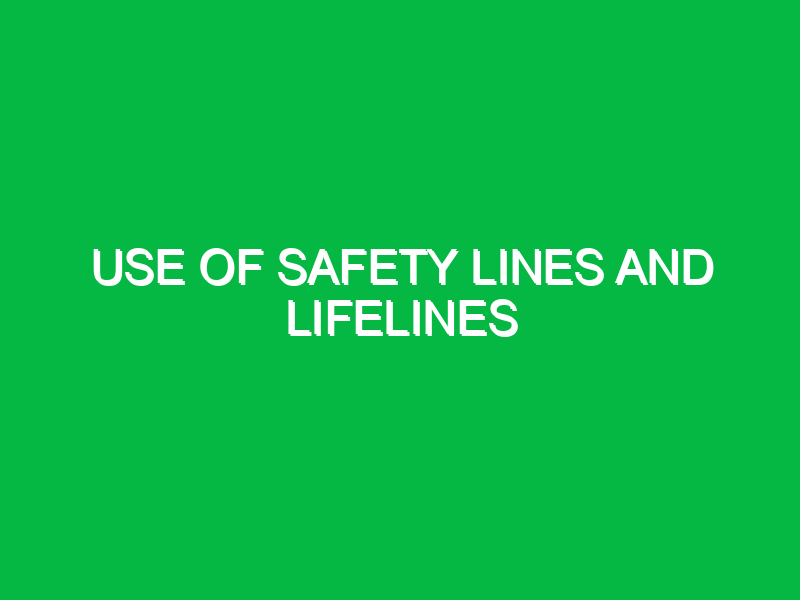 use of safety lines and lifelines 10057