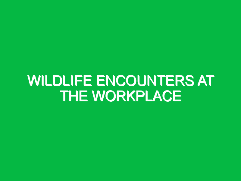 wildlife encounters at the workplace 9660