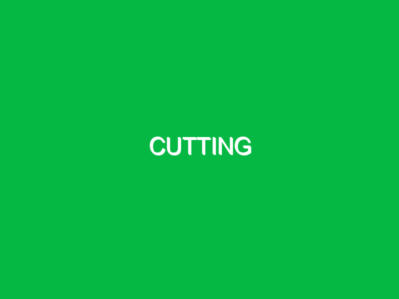 cutting 2 10256