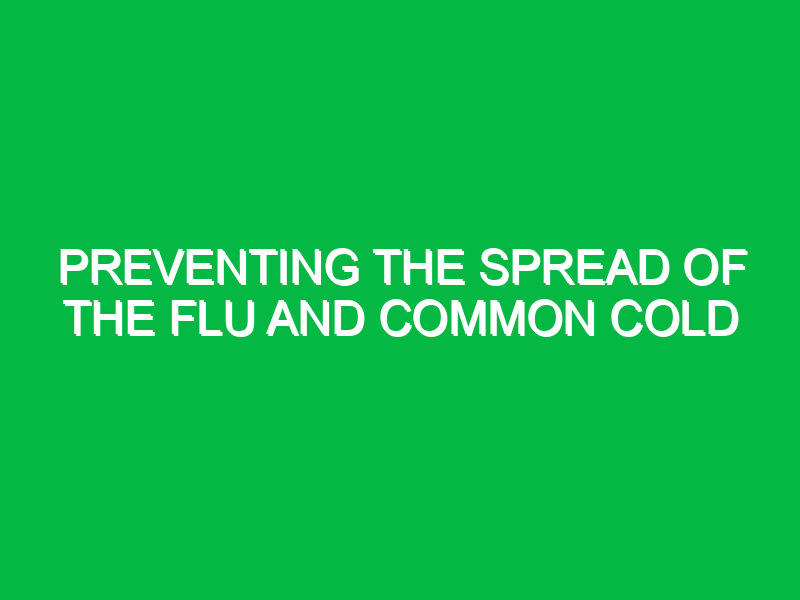 preventing the spread of the flu and common cold 10192