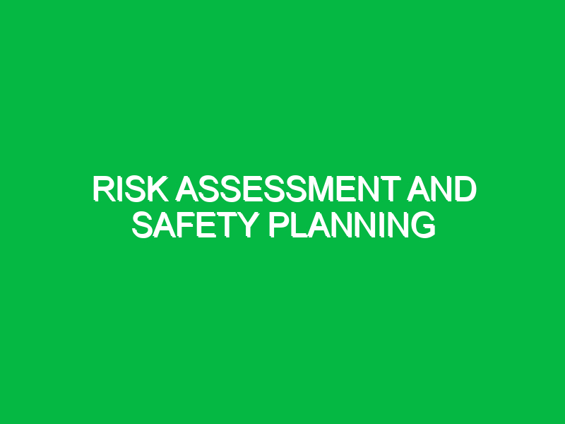 risk assessment and safety planning 11103