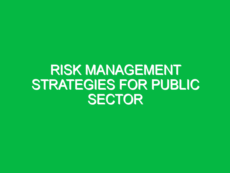 risk management strategies for public sector 11126