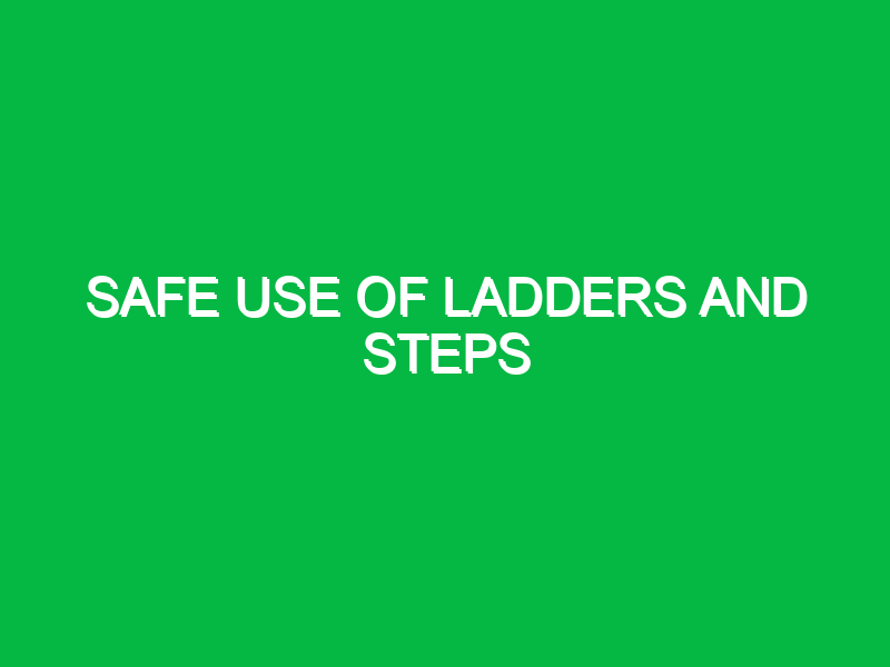 safe use of ladders and steps 10400