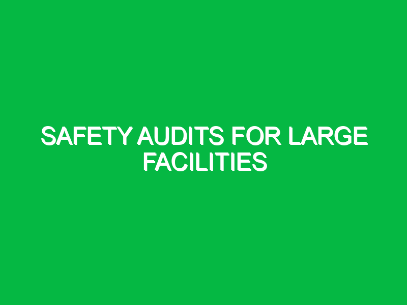 safety audits for large facilities 11068