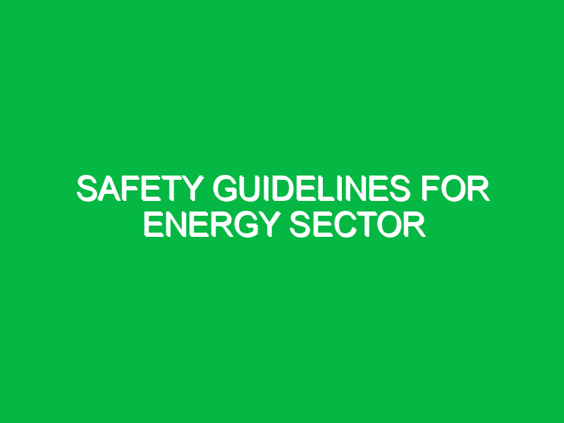 safety guidelines for energy sector 10773