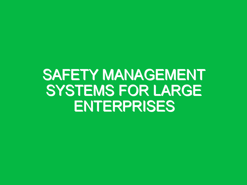 safety management systems for large enterprises 10928