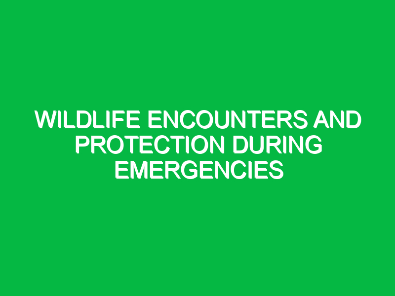 wildlife encounters and protection during emergencies 10580