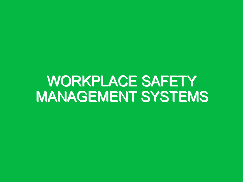 workplace safety management systems 11138