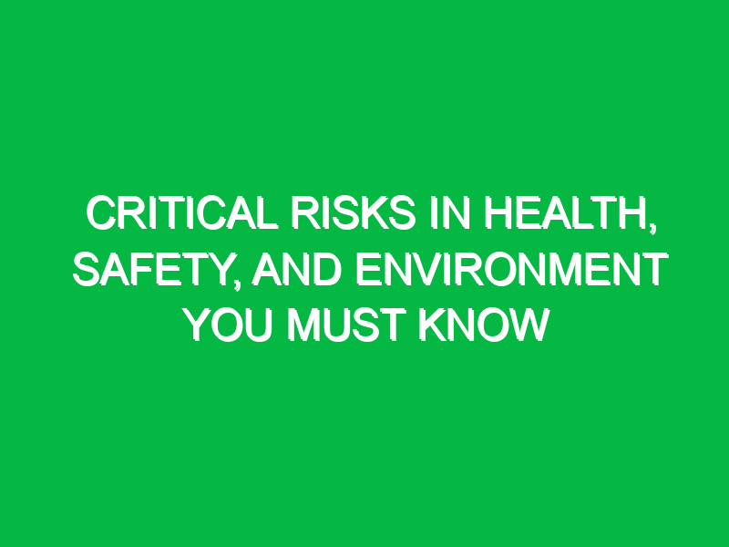 critical risks in health safety and environment you must know 12368