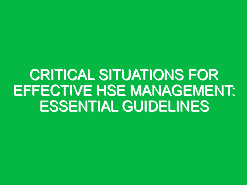 critical situations for effective hse management essential guidelines 12346