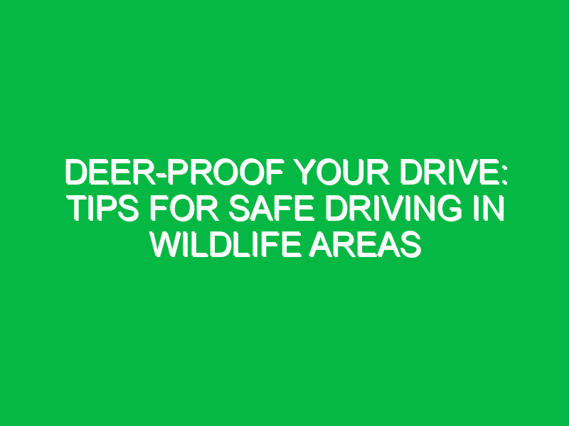 deer proof your drive tips for safe driving in wildlife areas 11844