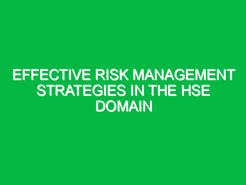 effective risk management strategies in the hse domain 11430