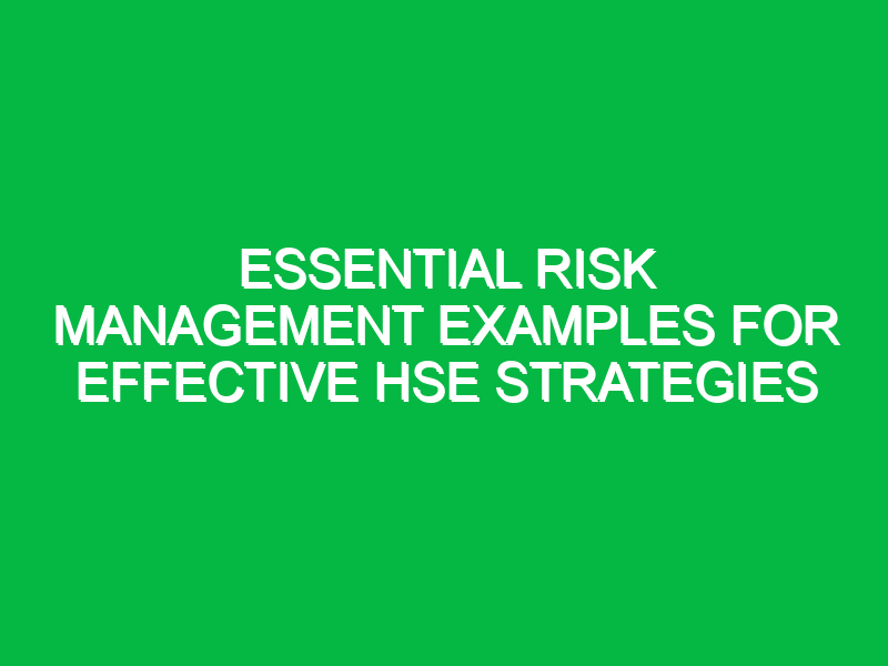 essential risk management examples for effective hse strategies 12865