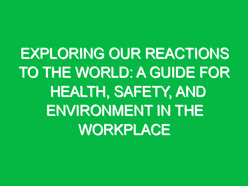 exploring our reactions to the world a guide for health safety and environment in the workplace 12341