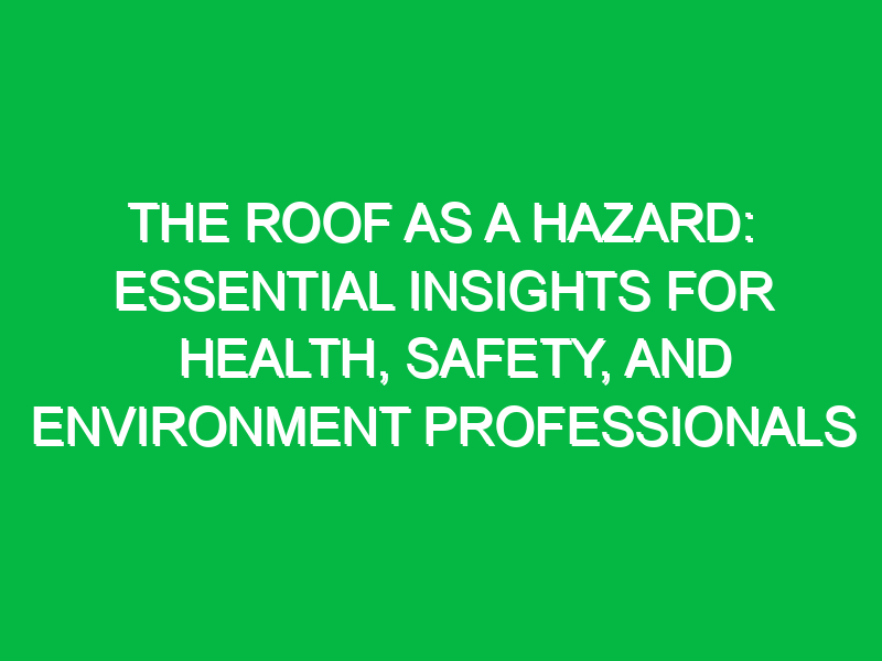 the roof as a hazard essential insights for health safety and environment professionals 11445