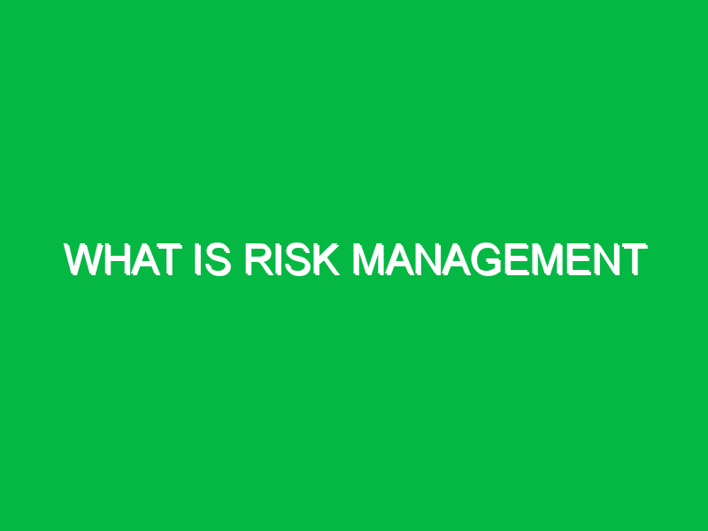 what is risk management 11301