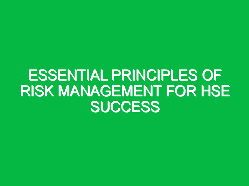 essential principles of risk management for hse success 14354