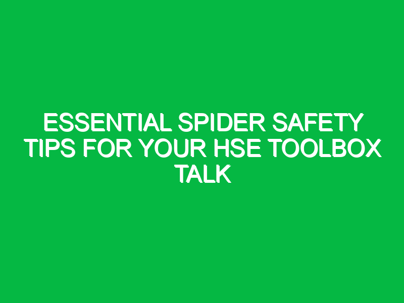 essential spider safety tips for your hse toolbox talk 13189