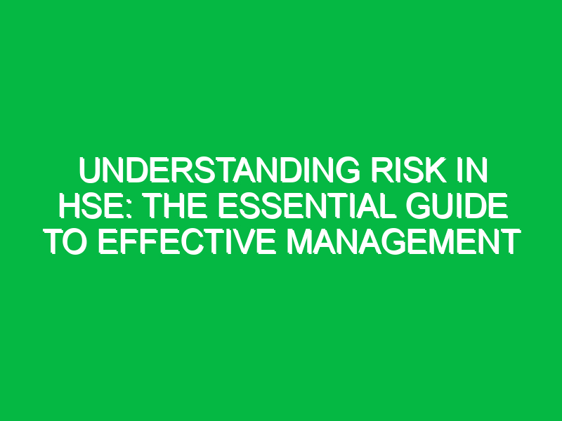 understanding risk in hse the essential guide to effective management 13527