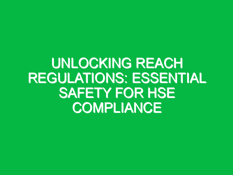 unlocking reach regulations essential safety for hse compliance 13287