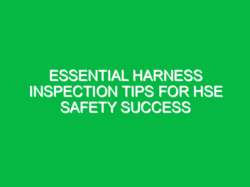 essential harness inspection tips for hse safety success 16745