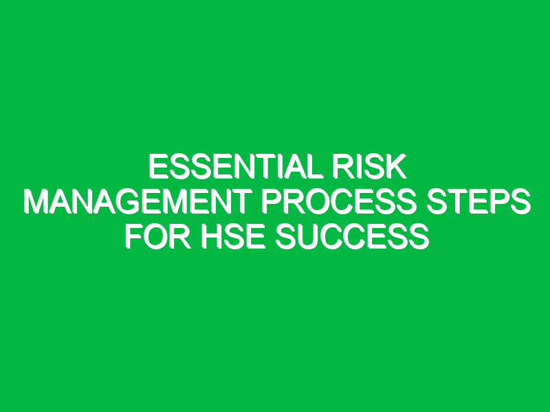 essential risk management process steps for hse success 16029