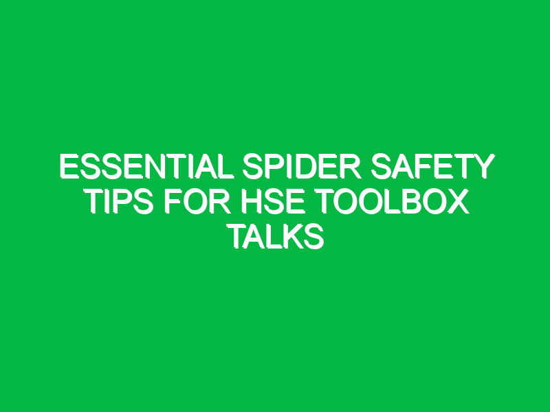 essential spider safety tips for hse toolbox talks 15335