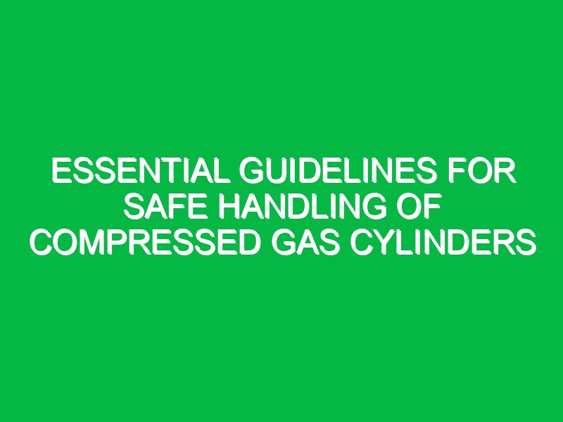 essential guidelines for safe handling of compressed gas cylinders 17440