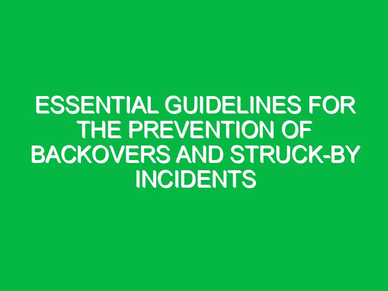 essential guidelines for the prevention of backovers and struck by incidents 17573